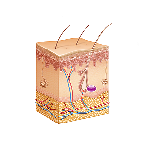 STYLAGE® Bi-SOFT M Lidocaine