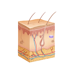 STYLAGE® Bi-SOFT S Lidocaine